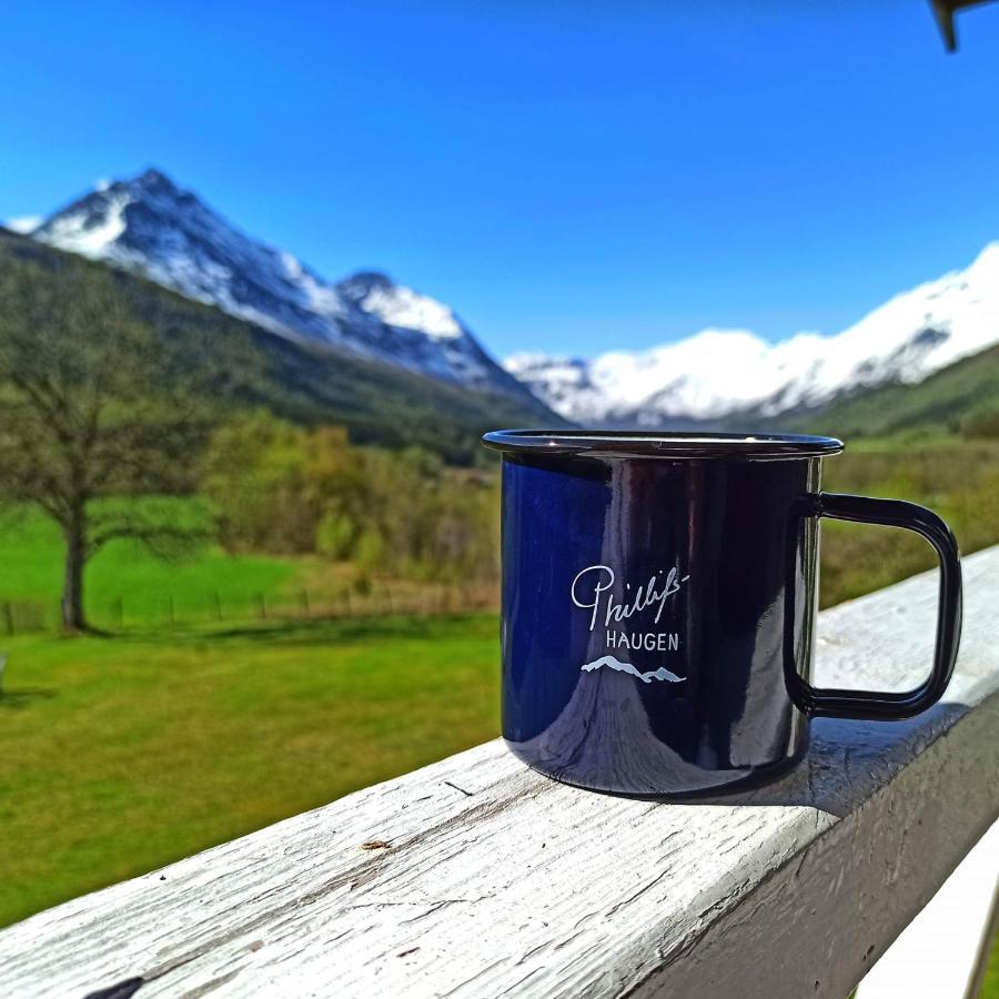 Phillipshaugen Lodge Oksendalsora Dış mekan fotoğraf