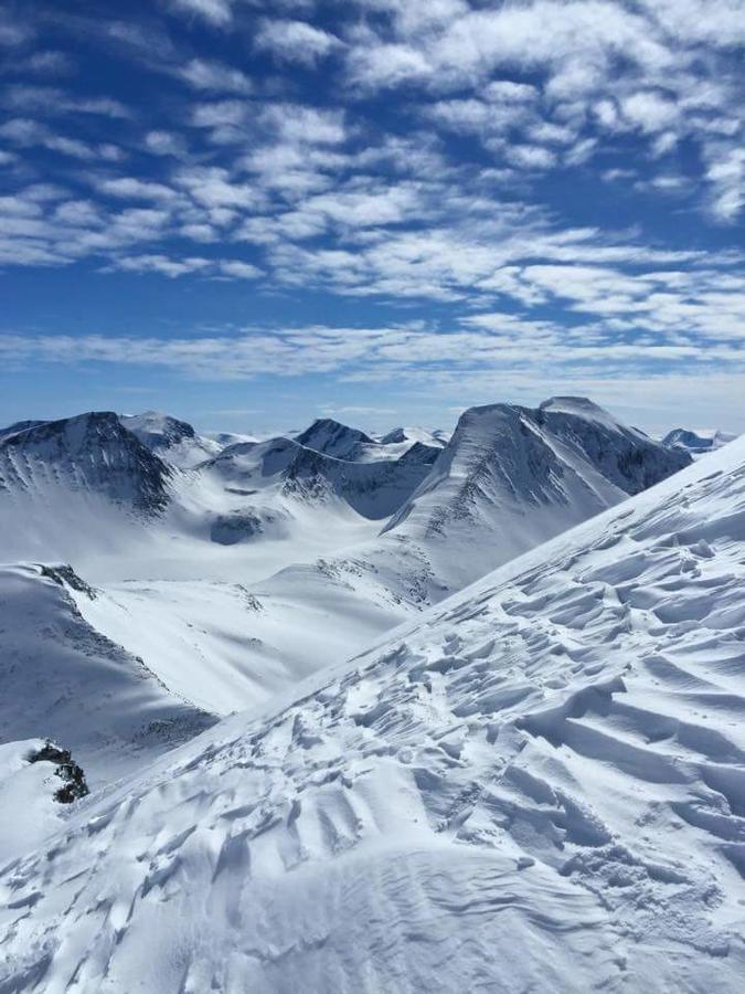 Phillipshaugen Lodge Oksendalsora Dış mekan fotoğraf